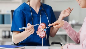Doctor and patient with kidney model
