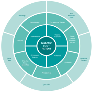 MDT diagram