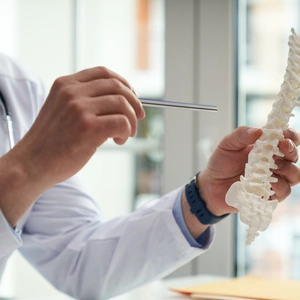 Healthcare worker holding a model of a human spine pointing to one of its segments with a metal stick
